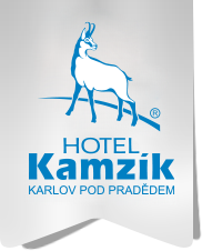 HOTEL KAMZIK s.r.o.